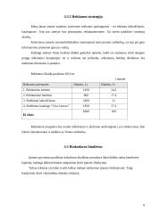Verslo planas: "Auto1 krovinių pervežimai" 8 puslapis