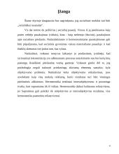 Vertybiškai neutralus socialinis mokslas 4 puslapis