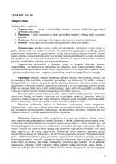 Vištienos dešrelių darymo valdymo praktika "Domantonių" paukštyne 3 puslapis