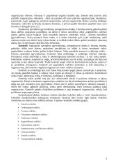 Vištienos dešrelių darymo valdymo praktika "Domantonių" paukštyne 4 puslapis