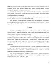 Žmoniškumas. Sąžinė. Meilė 7 puslapis