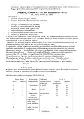 Gamybinės patalpos meteorologinių sąlygų tyrimas 2 puslapis