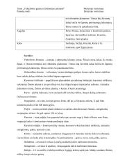 Geografijos pamokos planas: Viduržemio gamta ir Dalmatijos pakrantė 3 puslapis