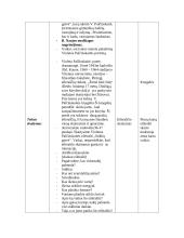 Lietuvių kalbos pamokos planas-konspektas trečiai klasei 2 puslapis