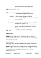 Pamokos planas: istorija