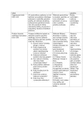 Pamokos planas: istorija 2 puslapis