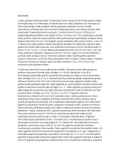 Kinematikos pasiruošimas egzaminui