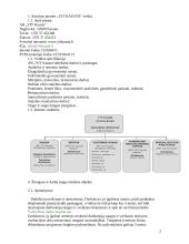 Gamybinės praktikos ataskaita: statybos įmonė "YIT Kausta" 2 puslapis