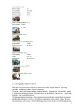 Gamybinės praktikos ataskaita: statybos įmonė "YIT Kausta" 7 puslapis