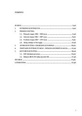 Europos Sąjungos (ES) plėtra: nuo šešių iki penkiolikos 2 puslapis