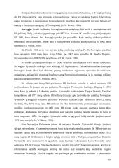 Europos Sąjungos (ES) plėtra: nuo šešių iki penkiolikos 19 puslapis