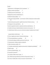 Mechanikos diplominis darbas