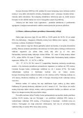 Feminizmo įtaka tarptautinei ekonomikai 11 puslapis