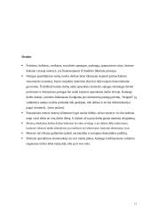 Feminizmo įtaka tarptautinei ekonomikai 12 puslapis