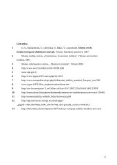 Feminizmo įtaka tarptautinei ekonomikai 13 puslapis