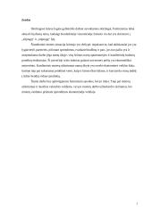 Feminizmo įtaka tarptautinei ekonomikai 3 puslapis