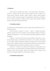 Feminizmo įtaka tarptautinei ekonomikai 4 puslapis