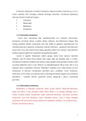 Feminizmo įtaka tarptautinei ekonomikai 5 puslapis