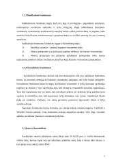 Feminizmo įtaka tarptautinei ekonomikai 6 puslapis