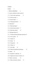 UAB įkūrimas ir jos veiklos vadyba