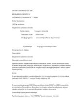 Ataskaita: lengvųjų automobilių servisas