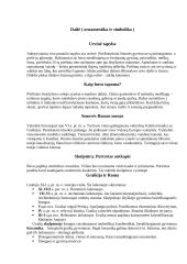 Dailė (ornamentika ir simbolika) 2 puslapis