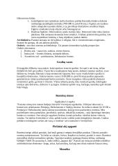 Dailė (ornamentika ir simbolika) 3 puslapis