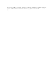 Dailė (ornamentika ir simbolika) 5 puslapis