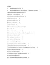 Antsvorio ir nutukimo profilaktika