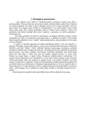 Ekologija kaip vilties metafora 2 puslapis