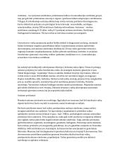 Autizmo apibūdinimas, priežastys ir simptomatika