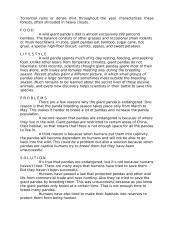 Giant Panda 3 puslapis