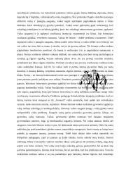 Vaikų teisės ir pareigos 3 puslapis