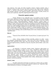 Vegetarizmas ir jo tipai 3 puslapis