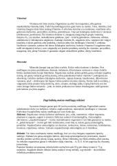 Vegetarizmas ir jo tipai 4 puslapis