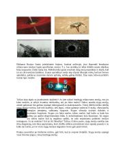 Fizikas Albertas Einšteinas 9 puslapis