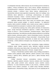 Aloyzas Stasiulevičius 2 puslapis