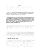 Sveikos mitybos esmė