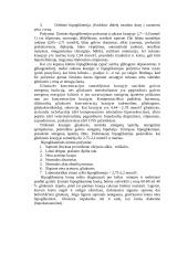 Angliavandenių problemos 7 puslapis