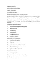 Vaiko su CP reabilitacijos programa