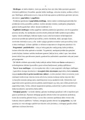 Apyvartinis kapitalas 5 puslapis