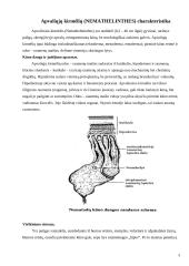 Apvaliosios kirmėlės 3 puslapis