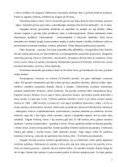 Apvaliosios kirmėlės 7 puslapis