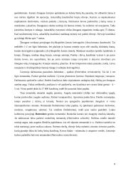 Apvaliosios kirmėlės 8 puslapis