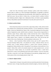 Arabų kelionių istorija 2 puslapis