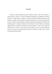 Arabų kelionių istorija 9 puslapis