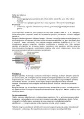 Atomas ir atomo sandara 3 puslapis