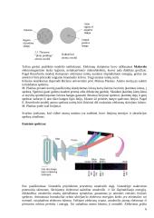 Atomas ir atomo sandara 6 puslapis
