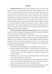 Atvejo studija 3 puslapis