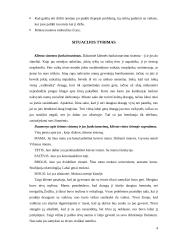 Atvejo studija 4 puslapis